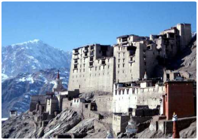 ladakh tour and travel company